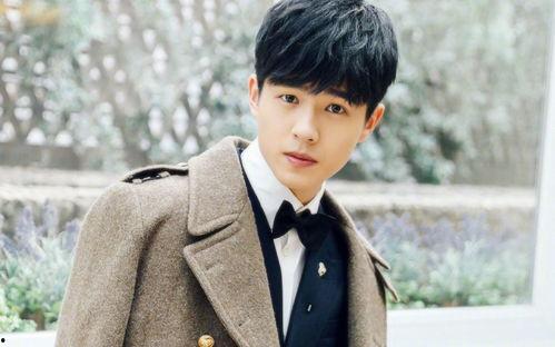 极限二选一明星男,明星男生二选一，谁将脱颖而出？