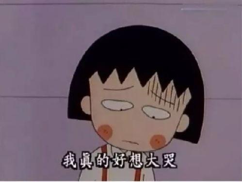 吃瓜小丸子qq群,一场欢乐的瓜田盛宴