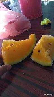 吃瓜被扫,揭秘扫瓜背后的科技力量