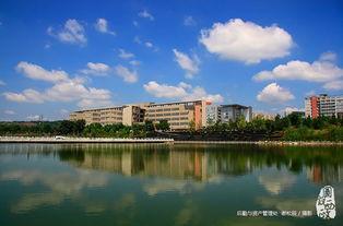 西南政法大学网红打卡,探寻法学圣地的人文魅力