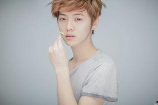 什么明星金牛座,揭秘金牛座的璀璨明星风采