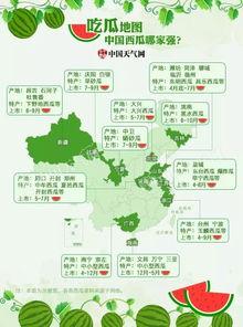 山东菏泽最新吃瓜,揭秘菏泽最新“吃瓜”热点