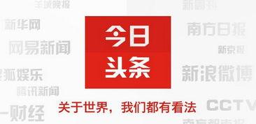 宁夏御东县今日头条,今日头条聚焦乡村振兴新篇章