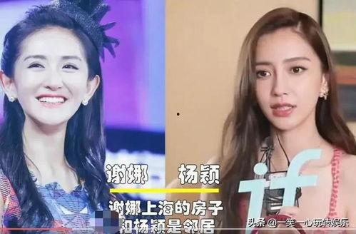 和明星邻居,揭秘娱乐圈温馨邻里情