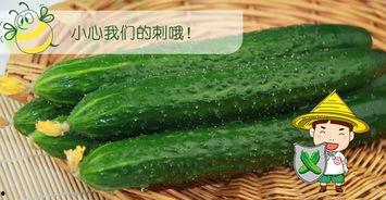 吃瓜九六,网络红人的崛起与影响