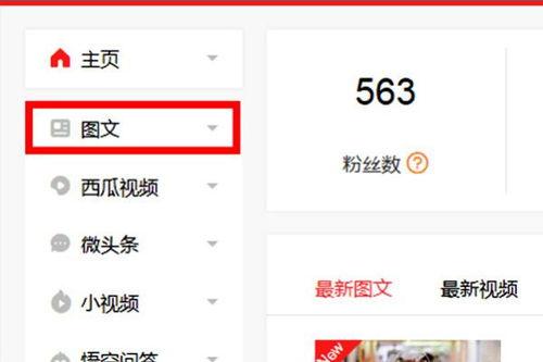 头条文章发到网易,揭秘网易新功能，带你领略科技魅力