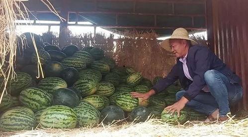 昆明云纺吃瓜事件,一场引发热议的街头冲突