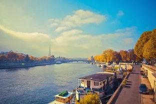 塞纳河成员吃瓜速度