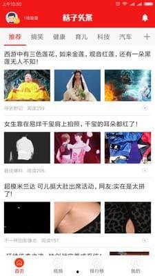 头条买桔子,新鲜美味，尽在买桔子