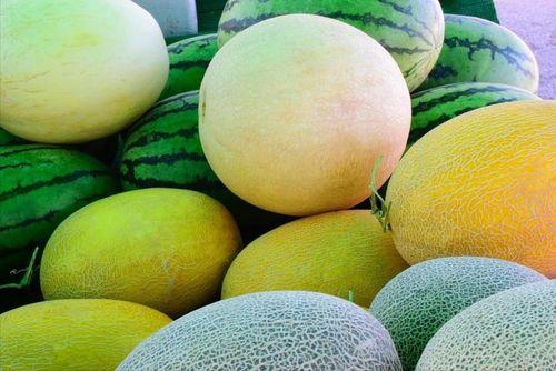 吃瓜网永久地址,畅享全网热点资讯的便捷通道