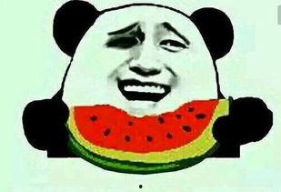 吃瓜群众笑蒙圈