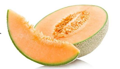 大恐龙吃哈密瓜,哈密瓜盛宴