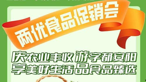 安阳东区今日头条,最新动态与热点事件速览