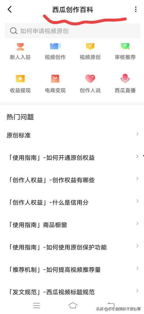 头条发布作品审核时间,高效审核，助力内容快速上线