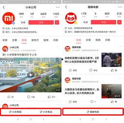 怎么上武汉今日头条视频,揭秘城市生活新动态