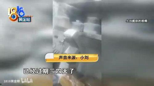 西点师爆料视频