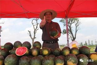 吃瓜群众雪宝儿,吃瓜群众的趣味生活点滴