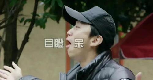 二哈吃瓜娱乐圈小说,娱乐圈的欢乐盛宴